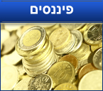 פיננסים